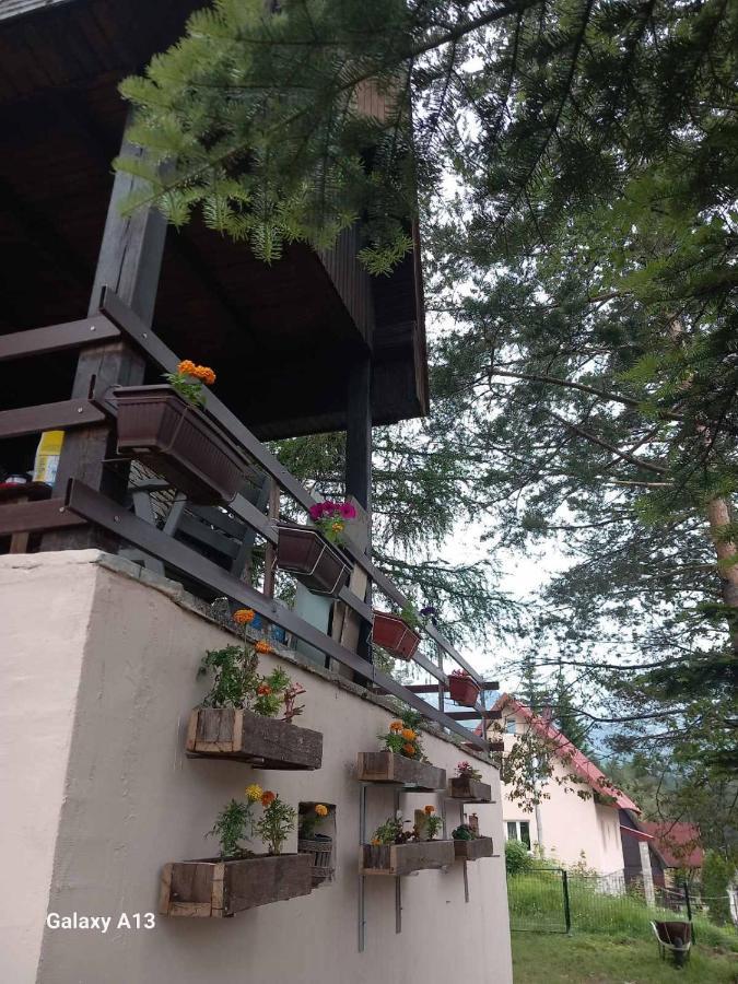 Vikendica Malovic Villa Žabljak Exterior foto